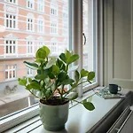 Hotel Mayfair 4*
